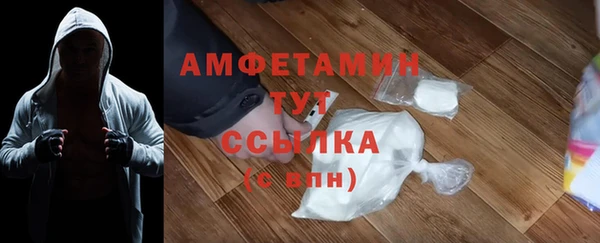 мдпв Пересвет