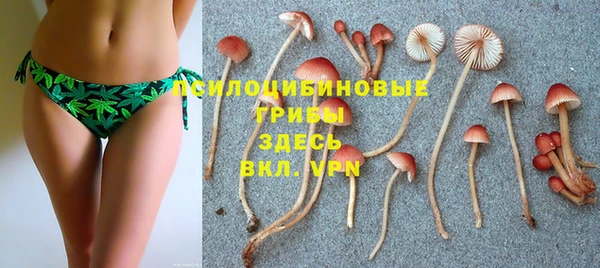 шишки Пестово