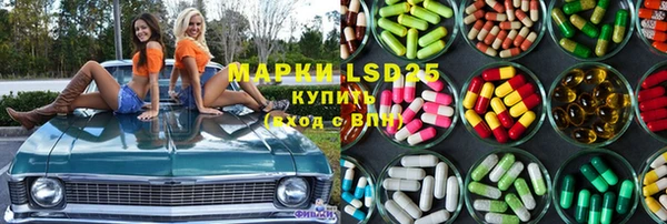 шишки Пестово