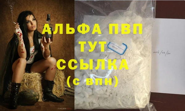 шишки Пестово